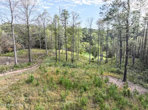 Long Branch Rd Off Rd, Del Rio, TN 37727