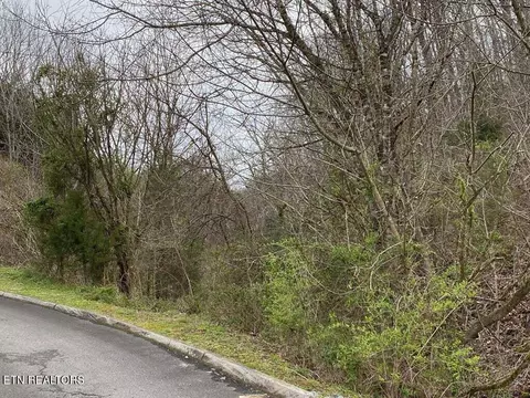 Wingspan Drive, Sevierville, TN 37862 photo 4