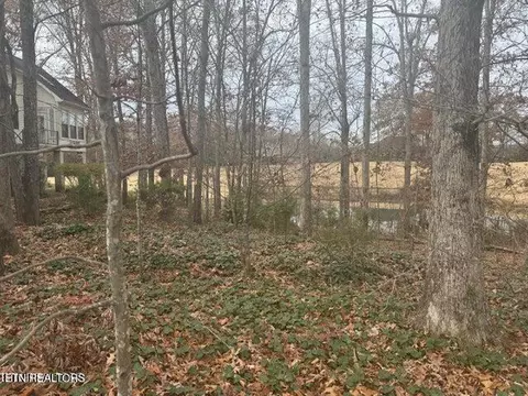 129 Cayuga Dr, Loudon, TN 37774