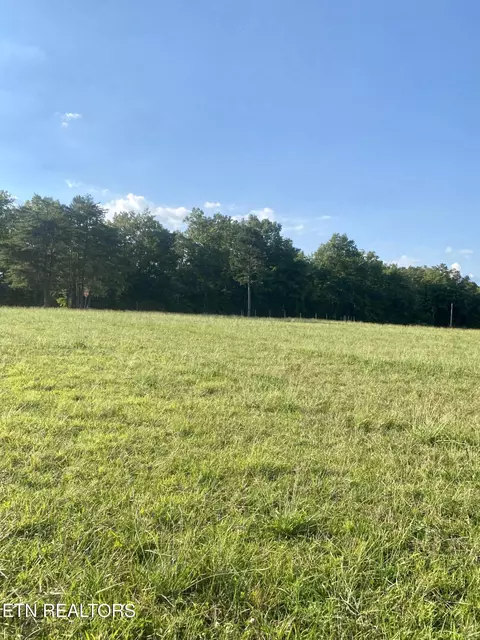 775 Genesis Rd, Lancing, TN 37770 photo 6