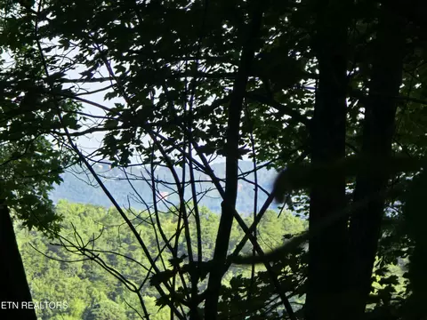 lot586 Silver Poplar Ln, Sevierville, TN 37876