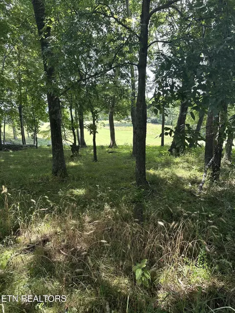 Walelu Trail Tr, Vonore, TN 37885