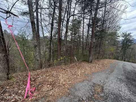 lot007 B Shagbark Hickory Rdg, Sevierville, TN 37862