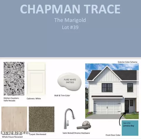 8704 Chapman Trace Way, Knoxville, TN 37920
