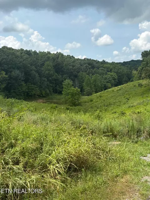 515 W Turner Ridge Rd, Newport, TN 37821