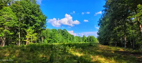 000 Old Gordon, Grandview, TN 37337
