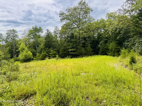 0 Collins Tpke, Deer Lodge, TN 37726