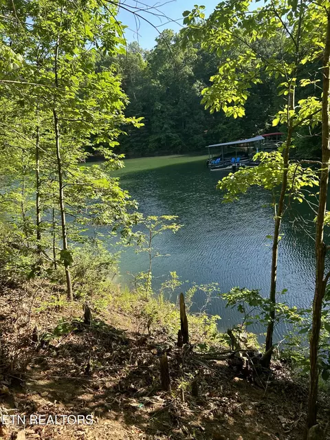 Ridgeview Circle, Sharps Chapel, TN 37866