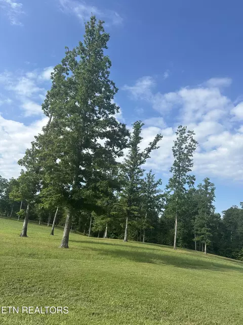 Bluff View Lp, Crossville, TN 38571