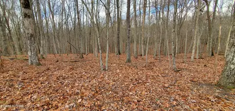 Burks Place, Monterey, TN 38574
