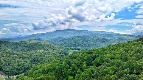 45 Acres S Highway 340, Parrottsville, TN 37843