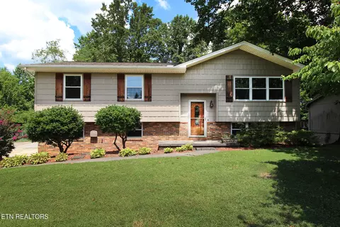 7317 Joyce Ln, Powell, TN 37849