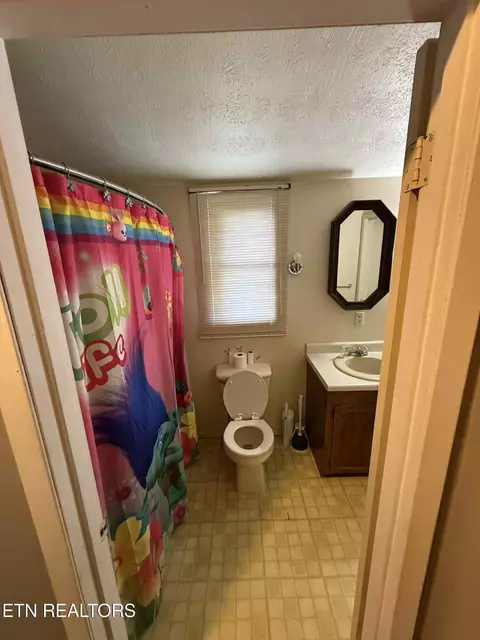 Bath - 135 Duncan Ln, Oneida, TN 37841 photo 3 of 3