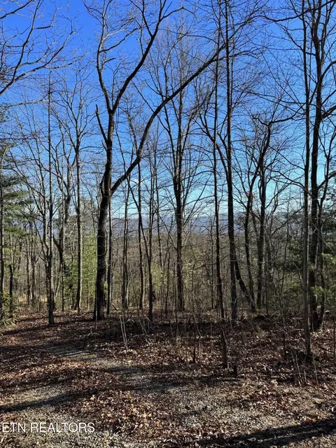 6838 Flats Rd, Tallassee, TN 37878