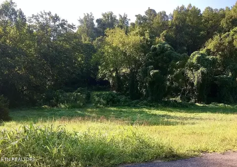 3315 W Wolf Valley Rd, Clinton, TN 37716