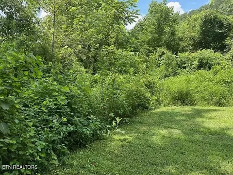 100 Knot Hole Rd, Arjay, KY 40902