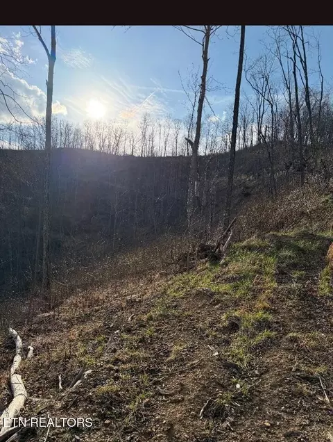 100 Knot Hole Rd, Arjay, KY 40902 photo 8