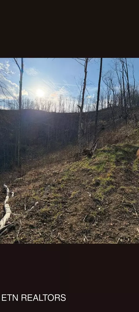 100 Knot Hole Rd, Arjay, KY 40902 photo 9