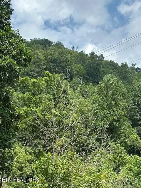 100 Knot Hole Rd, Arjay, KY 40902 photo 4
