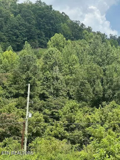 100 Knot Hole Rd, Arjay, KY 40902 photo 3
