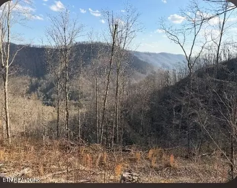 100 Knot Hole Rd, Arjay, KY 40902 photo 13