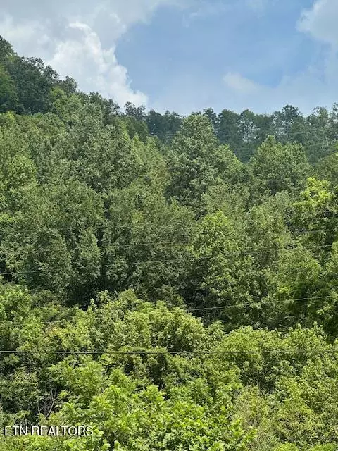 100 Knot Hole Rd, Arjay, KY 40902 photo 5