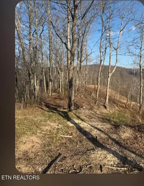 100 Knot Hole Rd, Arjay, KY 40902 photo 6