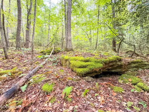 lot27 Airport Rd, Rockwood, TN 37854