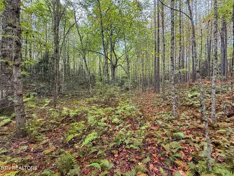 lot26 Airport Rd, Rockwood, TN 37854