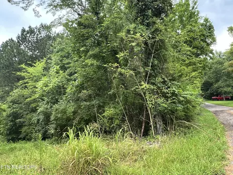 lot2 Prigmore Ridge Rd, Decatur, TN 37322