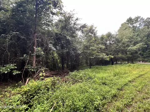 lot1 Prigmore Ridge Rd, Decatur, TN 37322