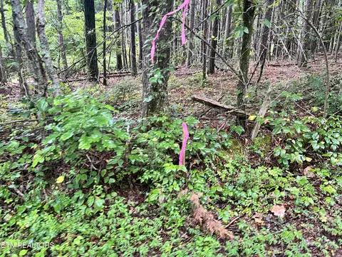 lot4 Prigmore Ridge Rd, Decatur, TN 37322