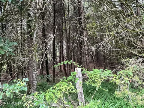 lot6 Willie Prigmore Rd, Decatur, TN 37322