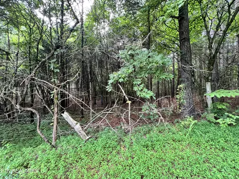 lot7 Willie Prigmore Rd, Decatur, TN 37322