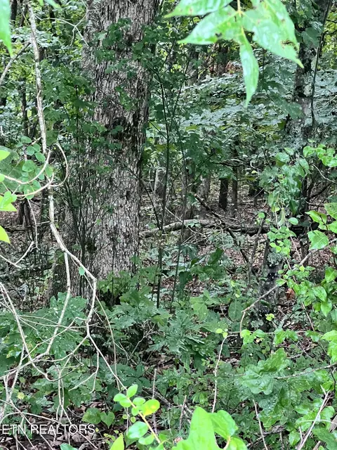 lot11 Willie Prigmore Rd, Decatur, TN 37322