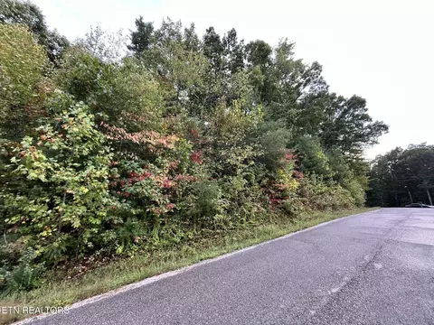 lot1 Evergreen Dr, Oneida, TN 37841