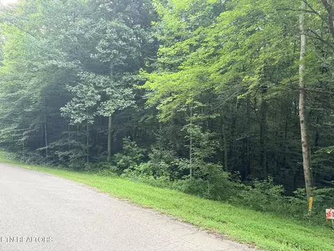 lot2 Evergreen Dr, Oneida, TN 37841