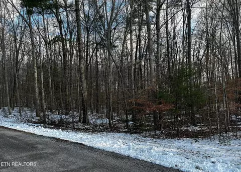 lot3 Evergreen Dr, Oneida, TN 37841