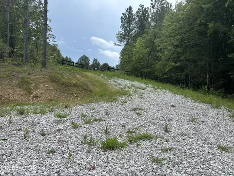 Higby Pvt Rd, Robbins, TN 37852