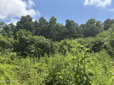Other - 670 Apple Valley Rd, Sevierville, TN 37862 photo 4 of 6