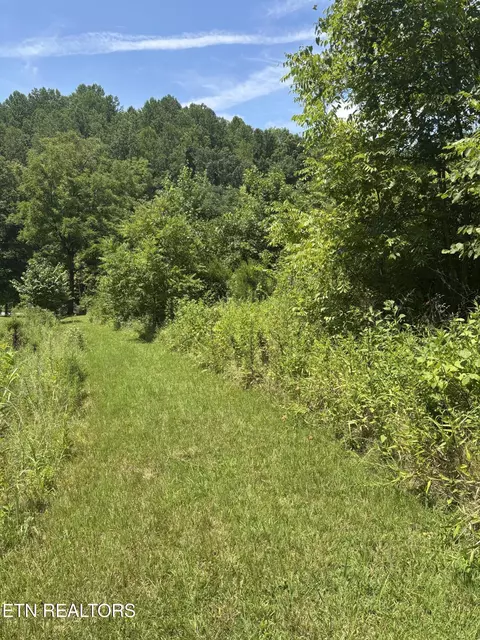 Other - 670 Apple Valley Rd, Sevierville, TN 37862 photo 5 of 6