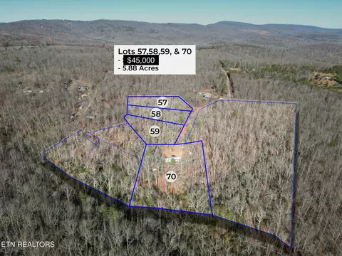 5 88 Log Rd, Spring City, TN 37381