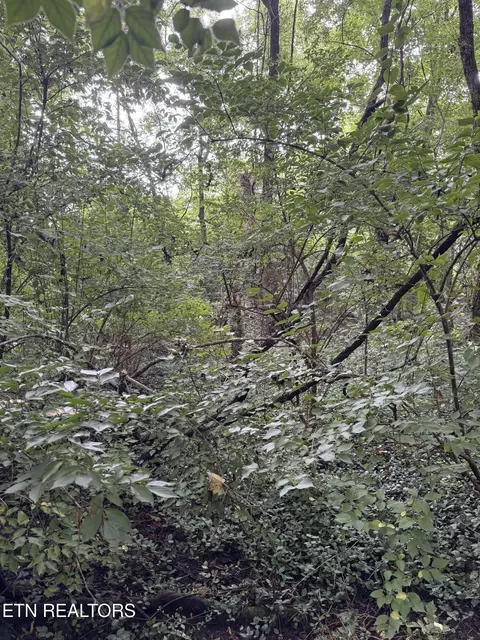 Old Rutledge Pike, Knoxville, TN 37924