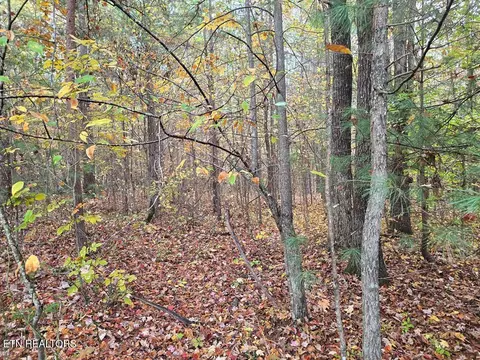 7 W 37 Ac W Robbins Rd, Robbins, TN 37852