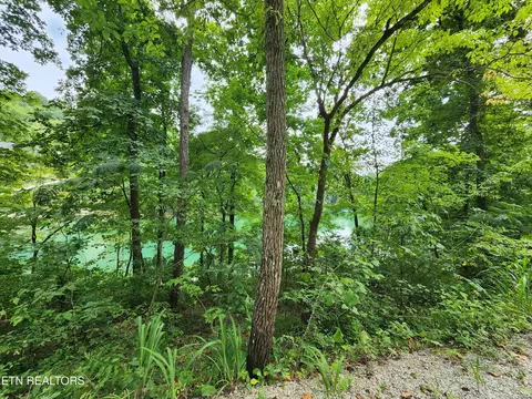 Carp Lane, La Follette, TN 37766