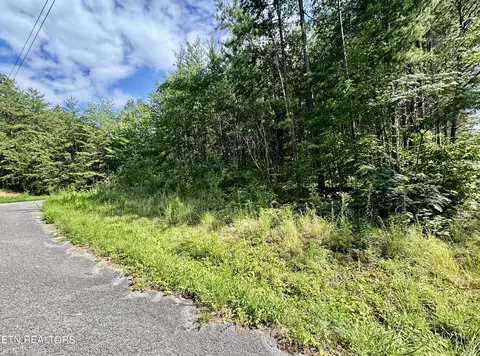 Sassafras Tr, Sevierville, TN 37876