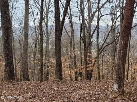 lot146 147 Lakeview Dr, Sharps Chapel, TN 37866