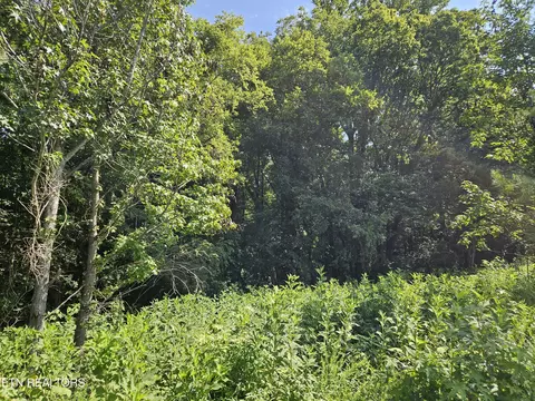 206 Majestic View Dr, Rockwood, TN 37854