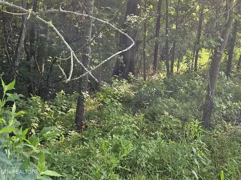 208 Majestic View Dr, Rockwood, TN 37854