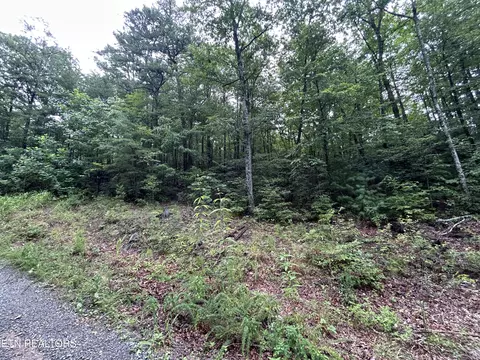 Black Oak Drive, Sevierville, TN 37876